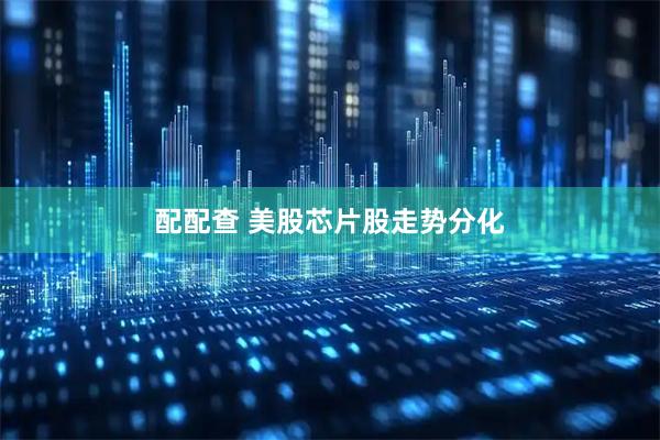 配配查 美股芯片股走势分化