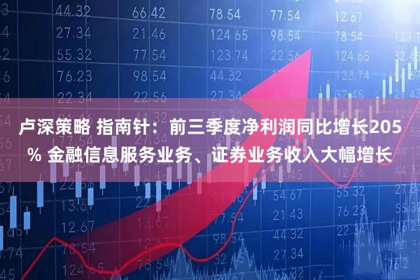 卢深策略 指南针：前三季度净利润同比增长205% 金融信息服务业务、证券业务收入大幅增长