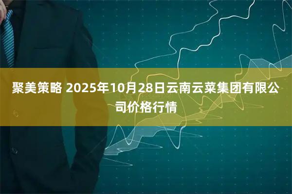 聚美策略 2025年10月28日云南云菜集团有限公司价格行情