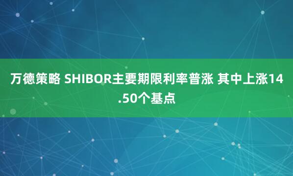 万德策略 SHIBOR主要期限利率普涨 其中上涨14.50个基点