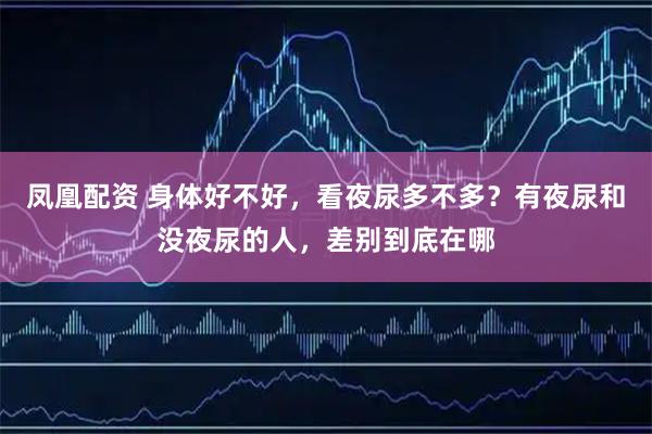 凤凰配资 身体好不好,看夜尿多不多?有夜尿和没夜尿的人,差别到底在哪