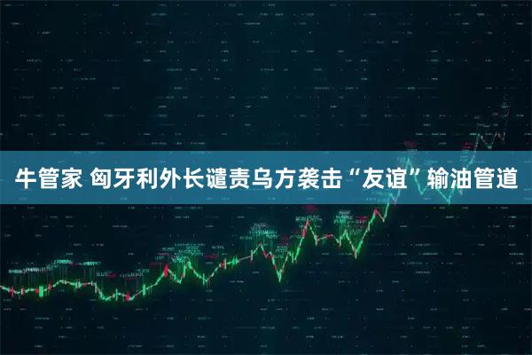 牛管家 匈牙利外长谴责乌方袭击“友谊”输油管道