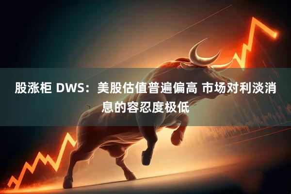 股涨柜 DWS：美股估值普遍偏高 市场对利淡消息的容忍度极低
