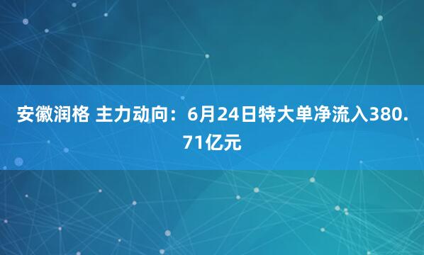 安徽润格 主力动向：6月24日特大单净流入380.71亿元