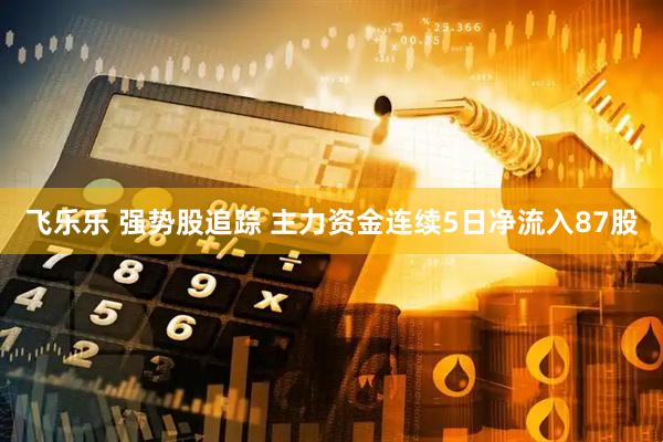飞乐乐 强势股追踪 主力资金连续5日净流入87股